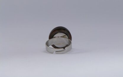 Bague Glacier – Image 4