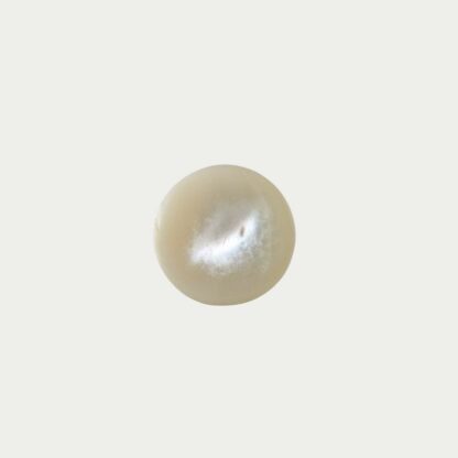 Bague Disque de Nacre – Image 2