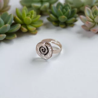 bague spirale d'argent